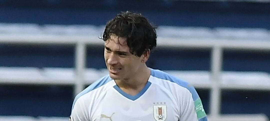 Flamengo descarta contratação de Darwin Núñez e segue satisfeito com elenco atual - Imagem do artigo original