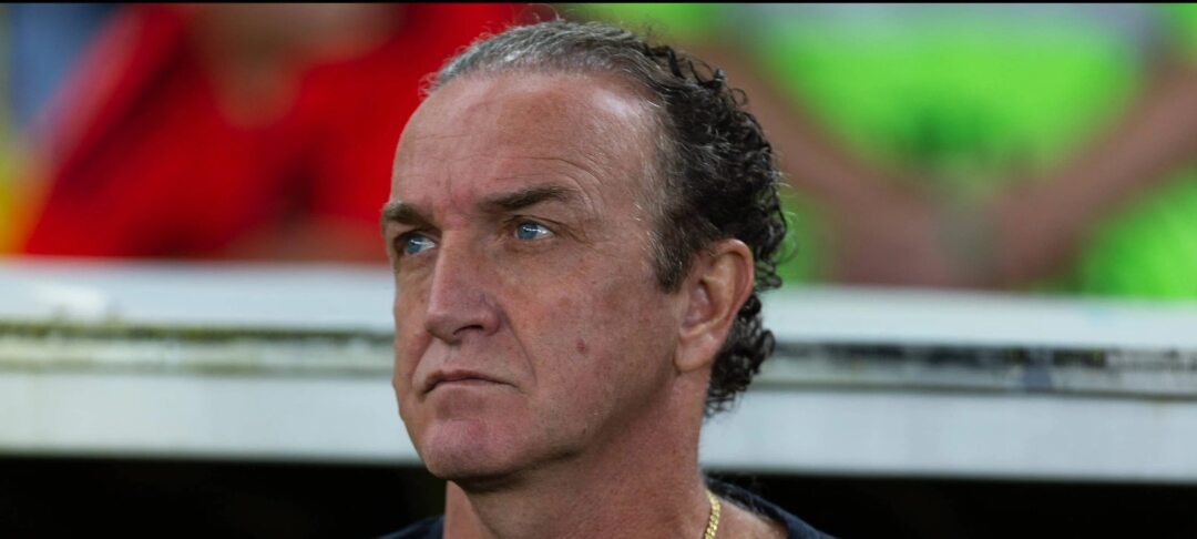 Milton Neves critica saída de Vojvoda e prevê dificuldades para Cuca no Santos - Imagem do artigo original